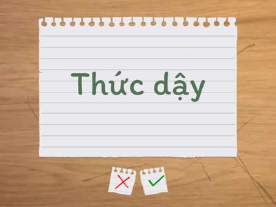 Actions & Daily Activities english - vietnamese