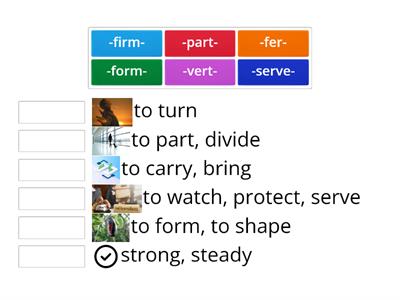 Wilson 8.1 Latin base meanings