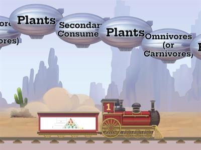 Levels of the Energy Pyramid