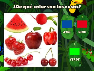 COLORES