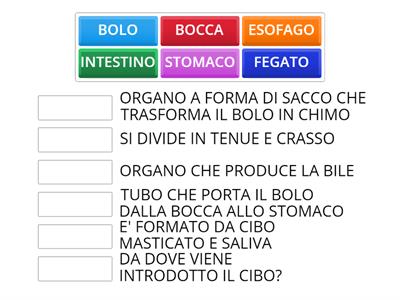 L'APPARATO DIGERENTE