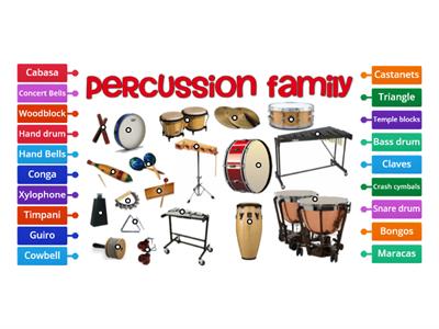 Percussion Family