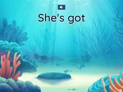 have got short forms +