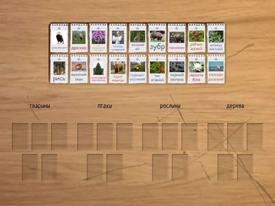 Гра "Червона книга УКРАЇНИ. Жива природа." (для дітей 5-6 років)