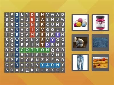 AS 5_Unit 6_Vocabulary