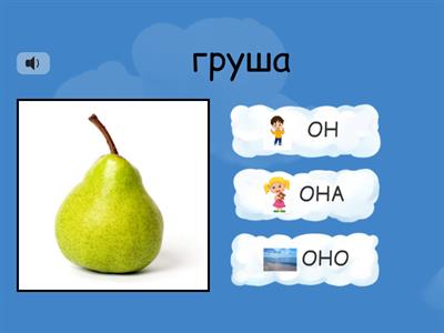 Род существительных