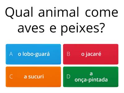 Quiz - Brasileirinho (p. 16 - ex. 29)