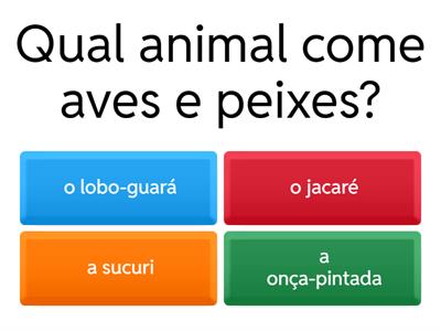 Quiz - Brasileirinho (p. 16 - ex. 29)