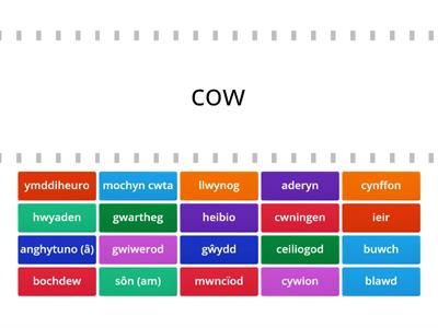 Uned 9 Sylfaen - Geirfa