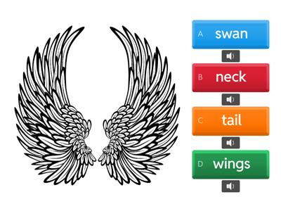 Learning lands 2 unit 3 quiz