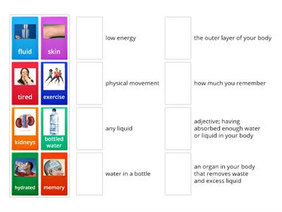 Lesson 5-6 Stay Hydrated Vocabulary