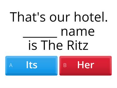Grammar: Progress check file 4 (Level beginner)
