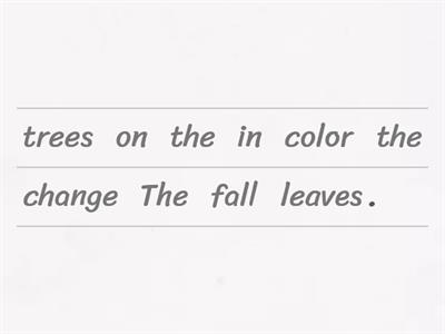 Unit 5 - Newcomer - Vocabulary Sentence Unscramble