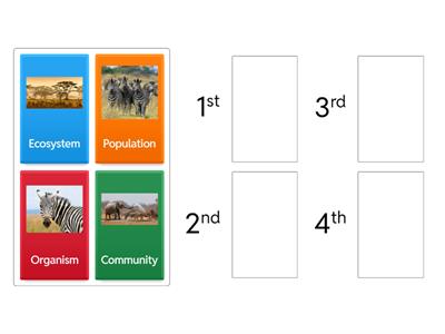 Ecological Levels of Organization 