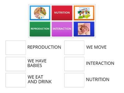 VITAL FUNCTIONS - unit 1