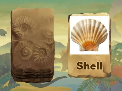 Palatal fronting s/sh minimal pairs