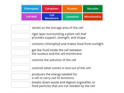 Cell Organelles