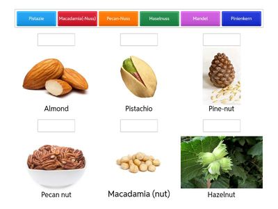 Hartschalenobst /Shell fruits Deutsch/Englisch