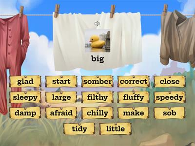 Synonym Find the match