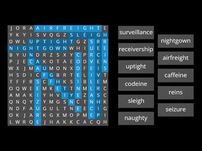 8.11 Wordsearch EIGH, EI, IGH, AUGH