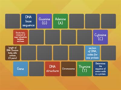 National 5 biology 1.3 DNA + proteins