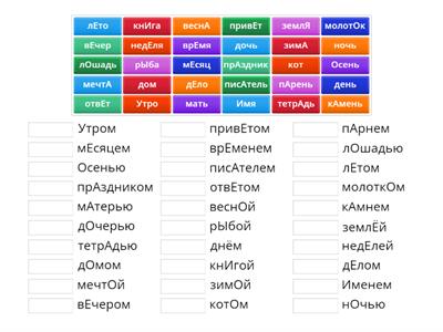 Instrumental Case - Examples