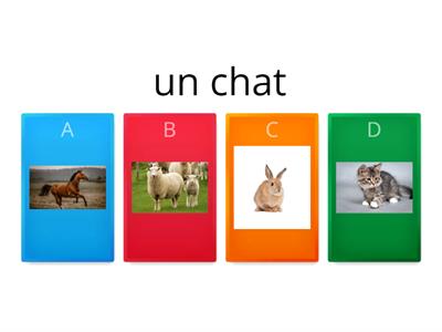 Les animaux (quiz)