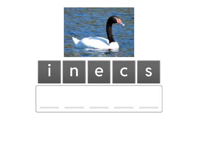 Combinaciones ce - ci