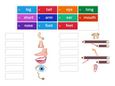 ACADEMY STARS 1 UNIT 7 VOCABULARY 1