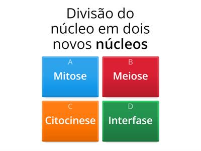 Divisão Celular: Mitose e Citocinese