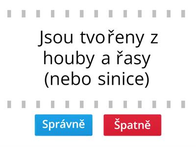 Opakování lišejníky