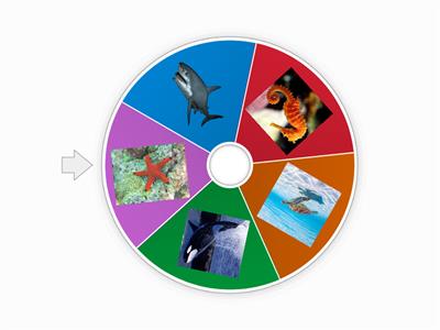 Blue Crew Sorting Wheel