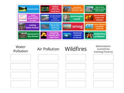 Human Impact on Ecosystems