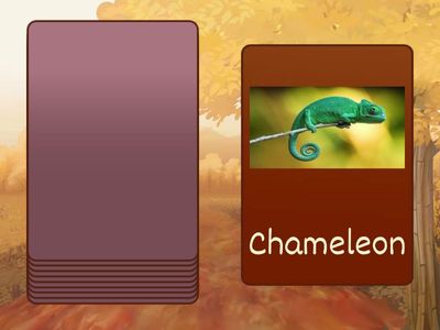 Unit 4 - Amazing Animals and Plants