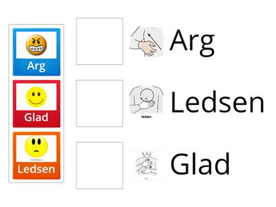 Svenska och Teckenspråk känslor match
