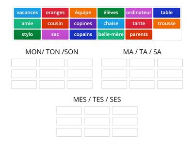 Les adjectifs possessifs 