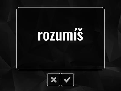 rozumět - to understand