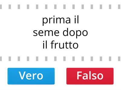 Dalla canzone ci vuole un fiore