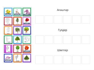 өсімдіктер