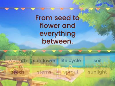 myView 1.2 - The Life Cycle of a Sunflower - Vocabulary Part 1