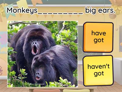 have got/haven't got