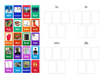 Words Their Way (Red) Sort 1