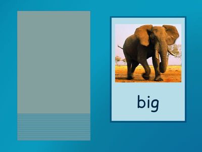 YBYBL 1 Adjective (32 Card)