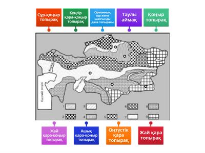 Қабанның кесте үлгісі - 72-med.ru сайтында