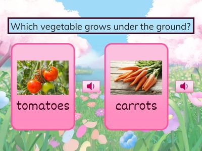 Lesson 4.3 - Cambridge Global English 4