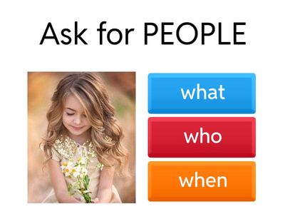 STANDARD 1 - 5W & 1H