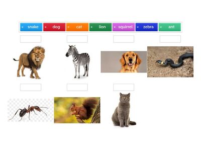 Super Minds 1 . Тварини 