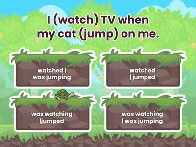 Past Simple vs Past Continuous - when/while