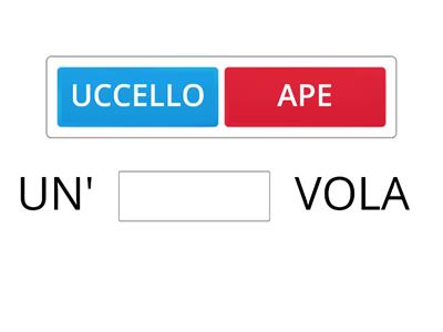 APOSTROFO: scegli il nome giusto da inserire