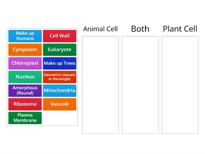 Animal vs. Plant Cell Sorting